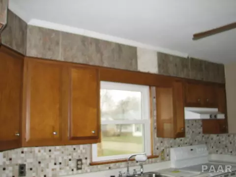 345 E Myrtle St, Canton, IL 61520 photo 12