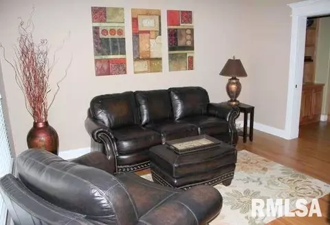 6408 W Hazel Nut Dr, Edwards, IL 61528 photo 7