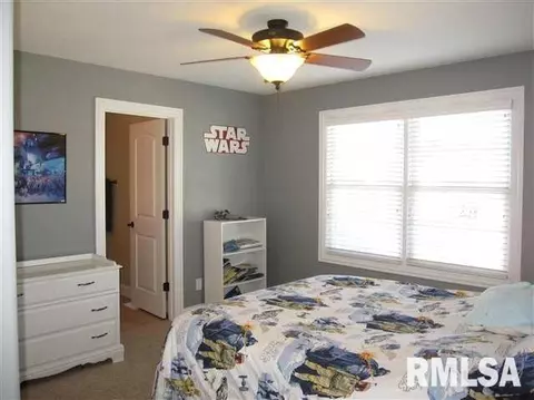 6408 W Hazel Nut Dr, Edwards, IL 61528 photo 15