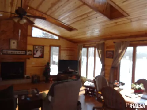 205 Conrad St, Henry, IL 61537 photo 4