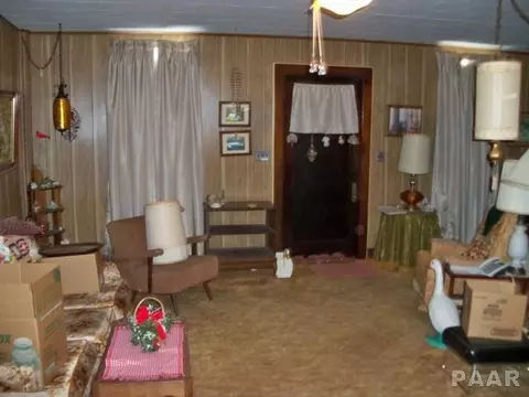 319 E Wood St, Avon, IL 61415 photo 6
