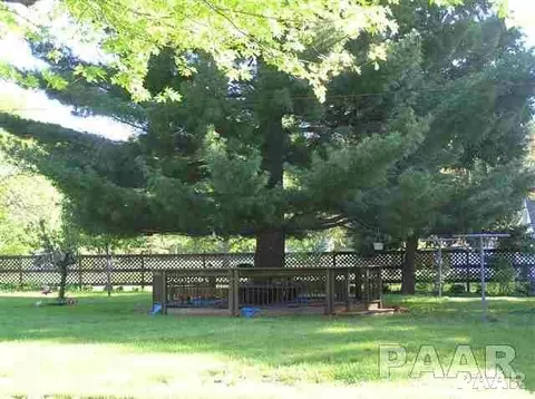 209 E High, Manito, IL 61546 photo 4