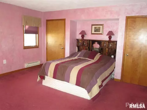 603 E 6th, Delavan, IL 61734 photo 12