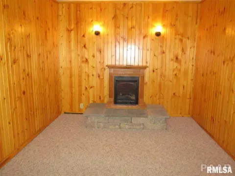 603 E 6th, Delavan, IL 61734 photo 21