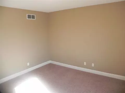 11703 N Dunmore Dr, Dunlap, IL 61525 photo 29