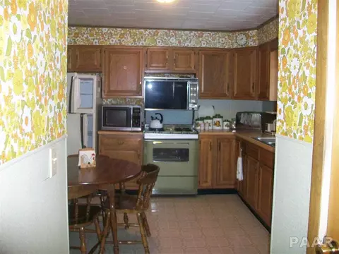 630 E Chestnut, Canton, IL 61520 photo 19