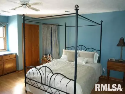 8507 N Ford Rd, Edwards, IL 61528 photo 19