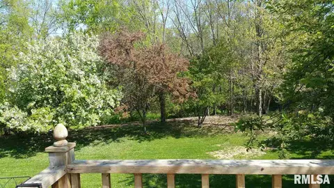 1129 E Juniper St, Canton, IL 61520 photo 7