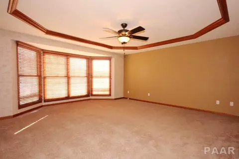 1129 E Juniper St, Canton, IL 61520 photo 20