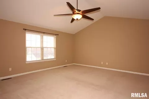 6903 N Buckeye Dr, Edwards, IL 61528 photo 16