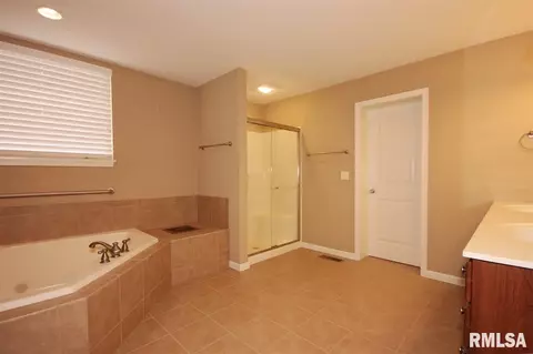 6903 N Buckeye Dr, Edwards, IL 61528 photo 20