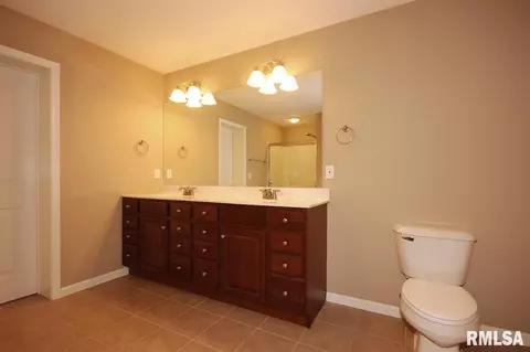 6903 N Buckeye Dr, Edwards, IL 61528 photo 19