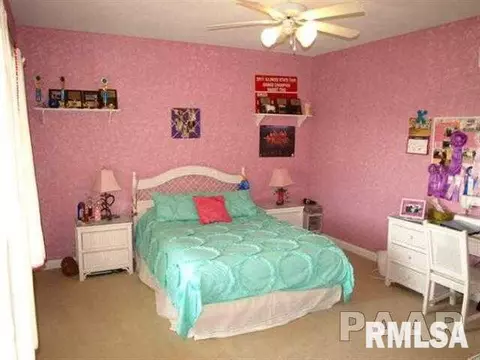 7601 W Grange Hall Rd, Dunlap, IL 61525 photo 14