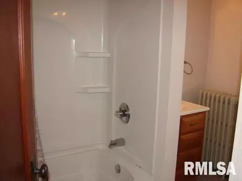 1404 County Road 2000 E, Roanoke, IL 61561 photo 17