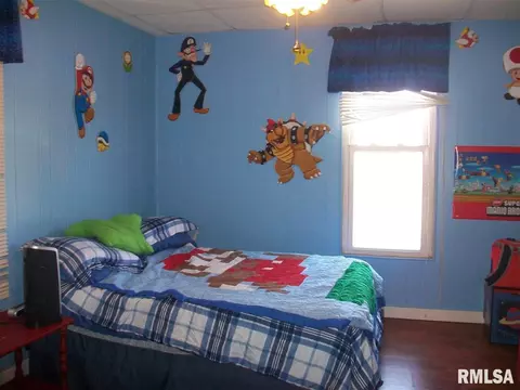 465 W Maple, Canton, IL 61520 photo 13