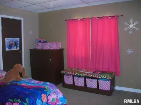 465 W Maple, Canton, IL 61520 photo 17