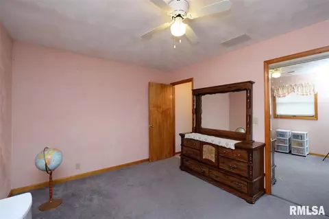 35 N 13th Ave, Canton, IL 61520 photo 18