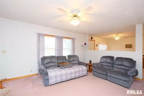 35 N 13th Ave, Canton, IL 61520 photo 3