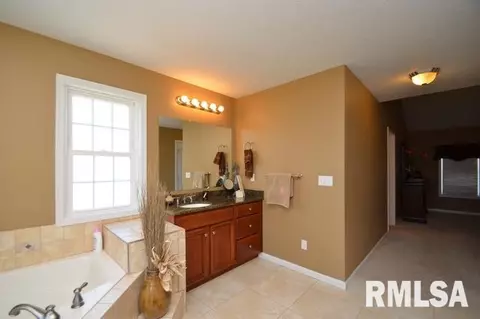 304 Cottingham Ln, Germantown Hills, IL 61548 photo 17