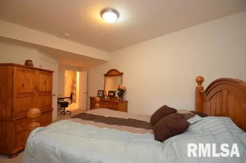304 Cottingham Ln, Germantown Hills, IL 61548 photo 31