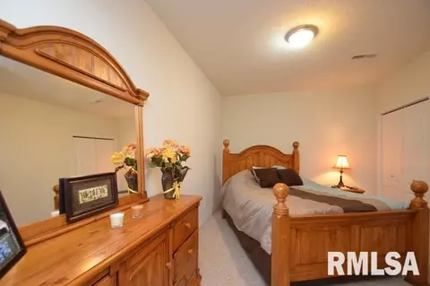 304 Cottingham Ln, Germantown Hills, IL 61548 photo 30
