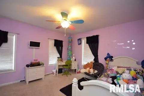 304 Cottingham Ln, Germantown Hills, IL 61548 photo 21
