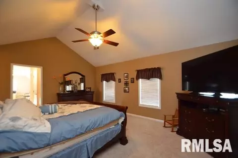 304 Cottingham Ln, Germantown Hills, IL 61548 photo 13