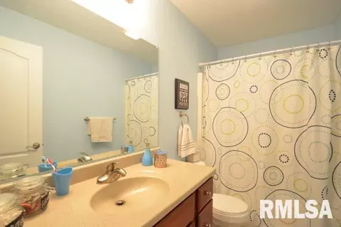 304 Cottingham Ln, Germantown Hills, IL 61548 photo 22