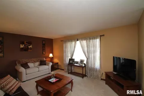 323 Pinecrest Dr, Germantown Hills, IL 61548 photo 3