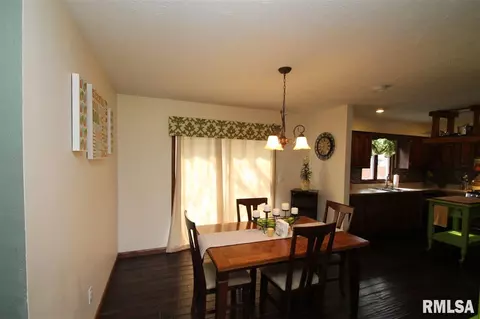 323 Pinecrest Dr, Germantown Hills, IL 61548 photo 5