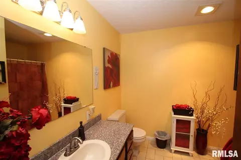 323 Pinecrest Dr, Germantown Hills, IL 61548 photo 9