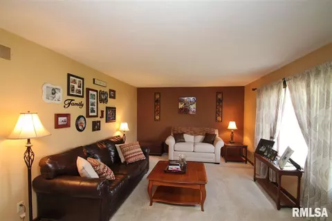 323 Pinecrest Dr, Germantown Hills, IL 61548 photo 2