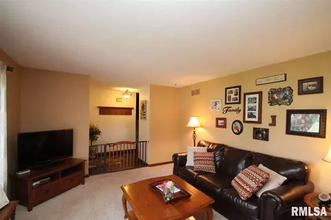 323 Pinecrest Dr, Germantown Hills, IL 61548 photo 4