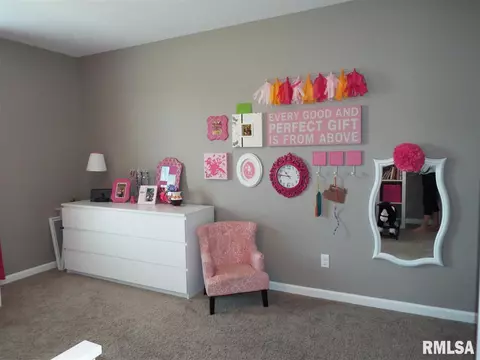 1260 E Monroe, Morton, IL 61550 photo 25