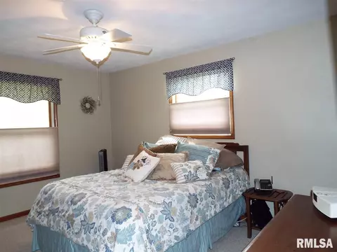 215 Cedar Ave, Morton, IL 61550 photo 10