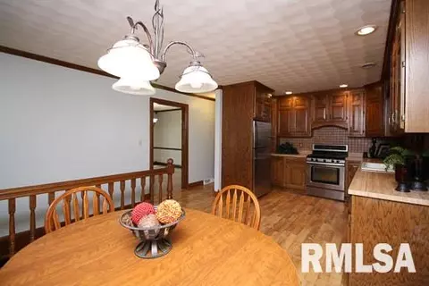 415 Bayside, Germantown Hills, IL 61548 photo 14