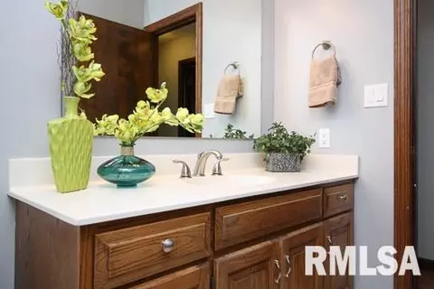 415 Bayside, Germantown Hills, IL 61548 photo 22