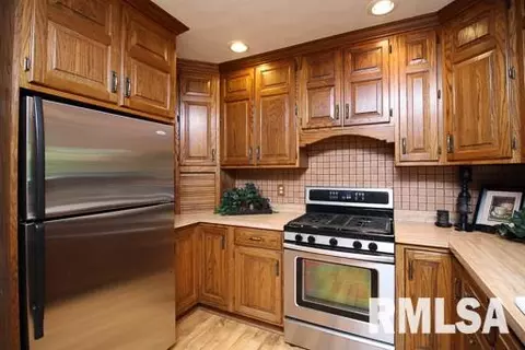 415 Bayside, Germantown Hills, IL 61548 photo 13
