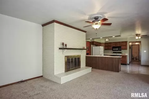 7659 W Chestnut Dr, Edwards, IL 61528 photo 15
