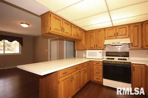 10403 W Sir Tristram Ct, Mapleton, IL 61547 photo 11