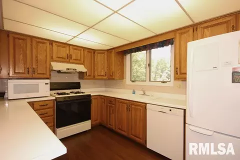 10403 W Sir Tristram Ct, Mapleton, IL 61547 photo 10
