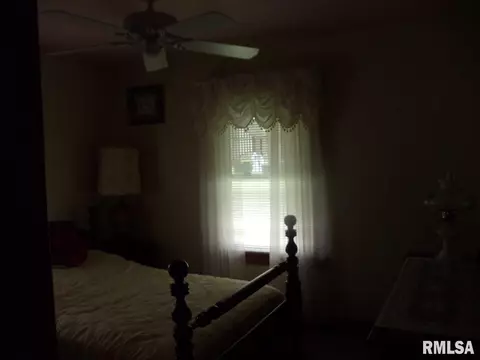 1132 Elm St, Canton, IL 61520 photo 9