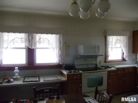 1132 Elm St, Canton, IL 61520 photo 5