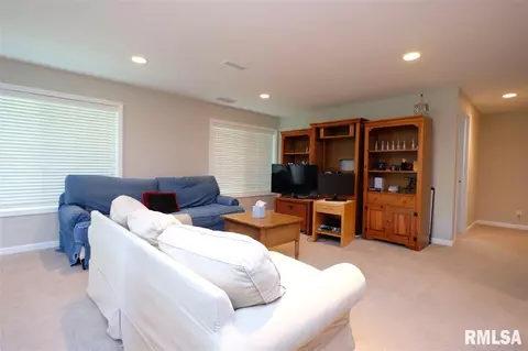 2107 W Leyna Dr, Dunlap, IL 61525 photo 30