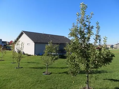 908 Crestview, Metamora, IL 61548 photo 36
