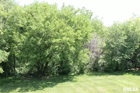 11706 N Brians, Dunlap, IL 61525 photo 8