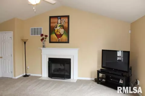 11706 N Brians, Dunlap, IL 61525 photo 10