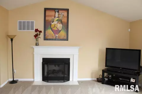 11706 N Brians, Dunlap, IL 61525 photo 11