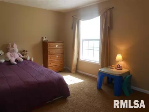 11418 N Casey Ct, Dunlap, IL 61525 photo 20