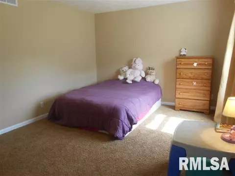 11418 N Casey Ct, Dunlap, IL 61525 photo 17